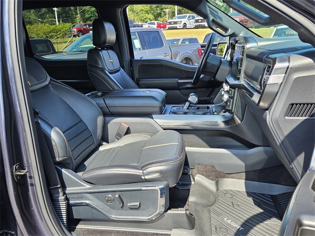 2021 Ford F-150 Platinum photo 17