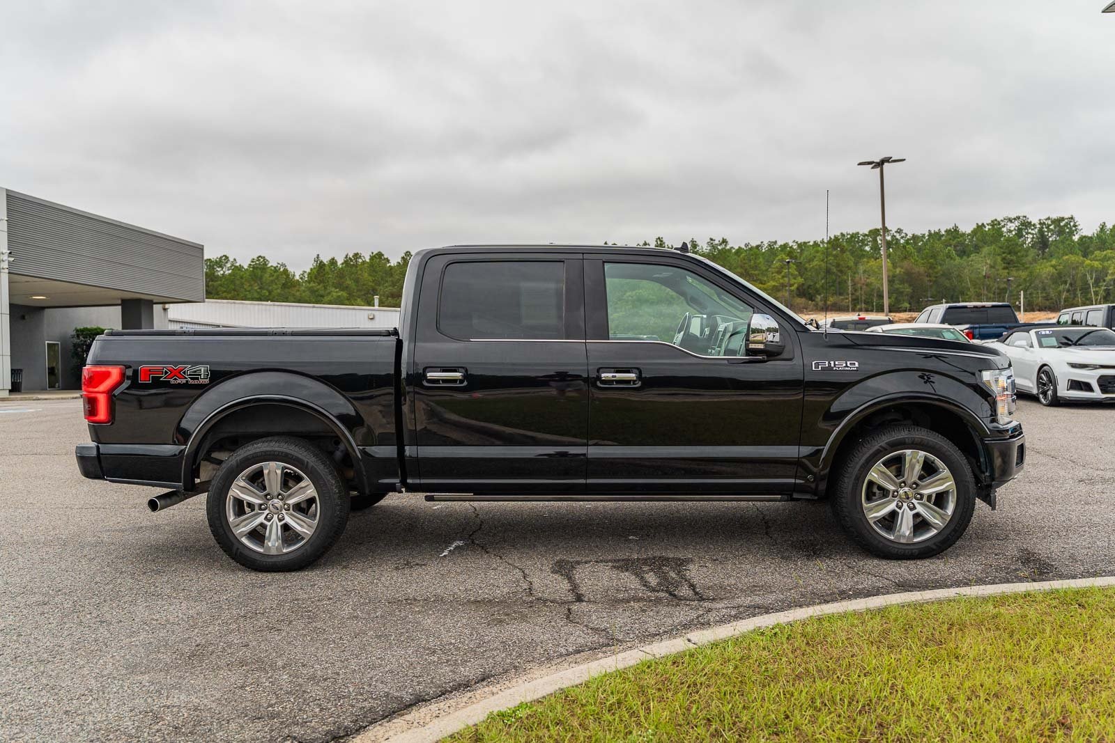 2018 Ford F-150 Platinum photo 8
