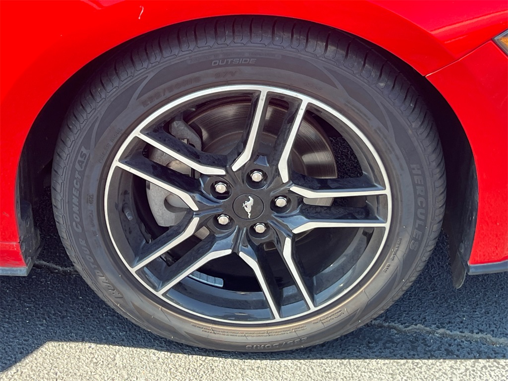 2023 Ford Mustang EcoBoost Premium photo 12