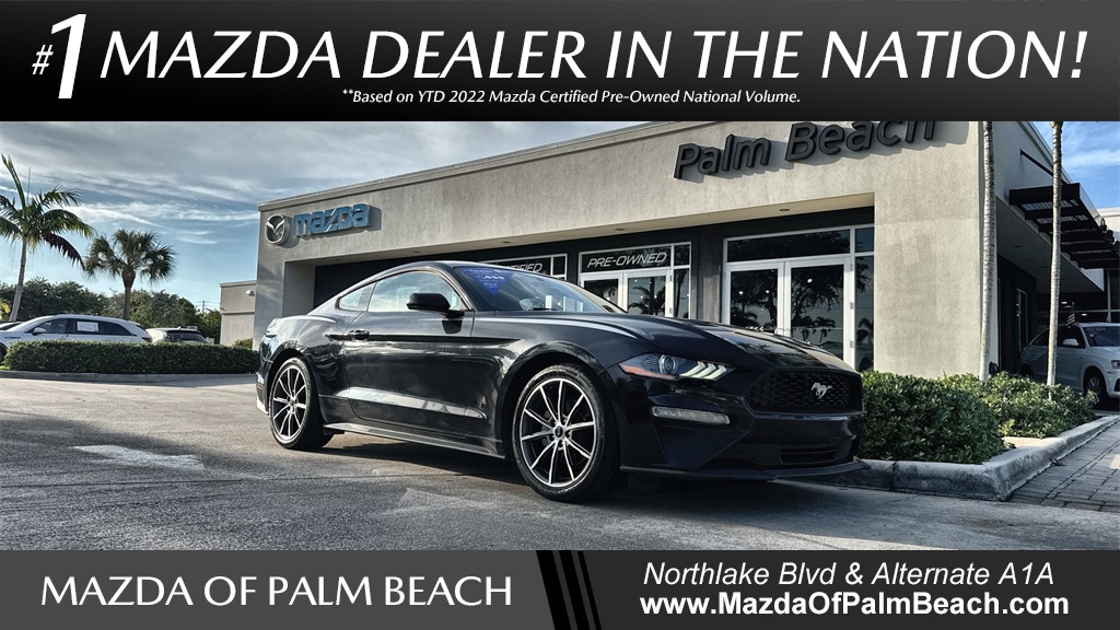 2019 Ford Mustang EcoBoost's photo