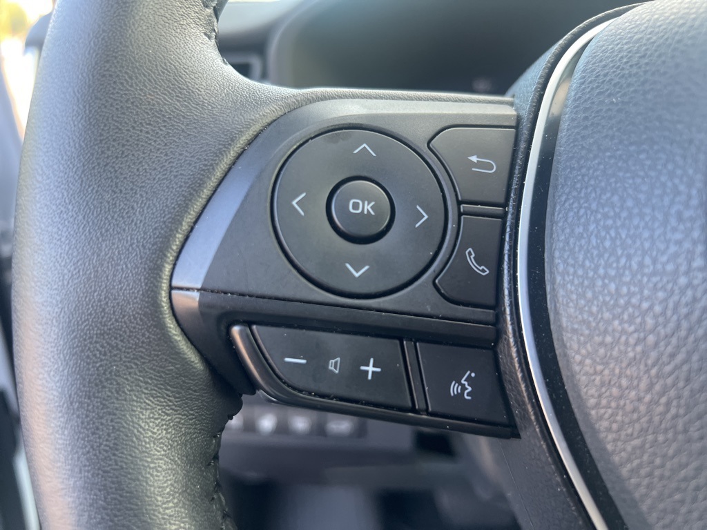 2024 Toyota RAV4 Hybrid Limited photo 17