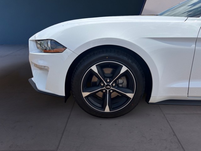 2023 Ford Mustang EcoBoost photo 14