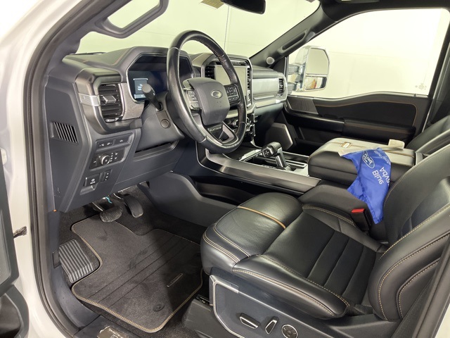 2021 Ford F-150 Platinum photo 10