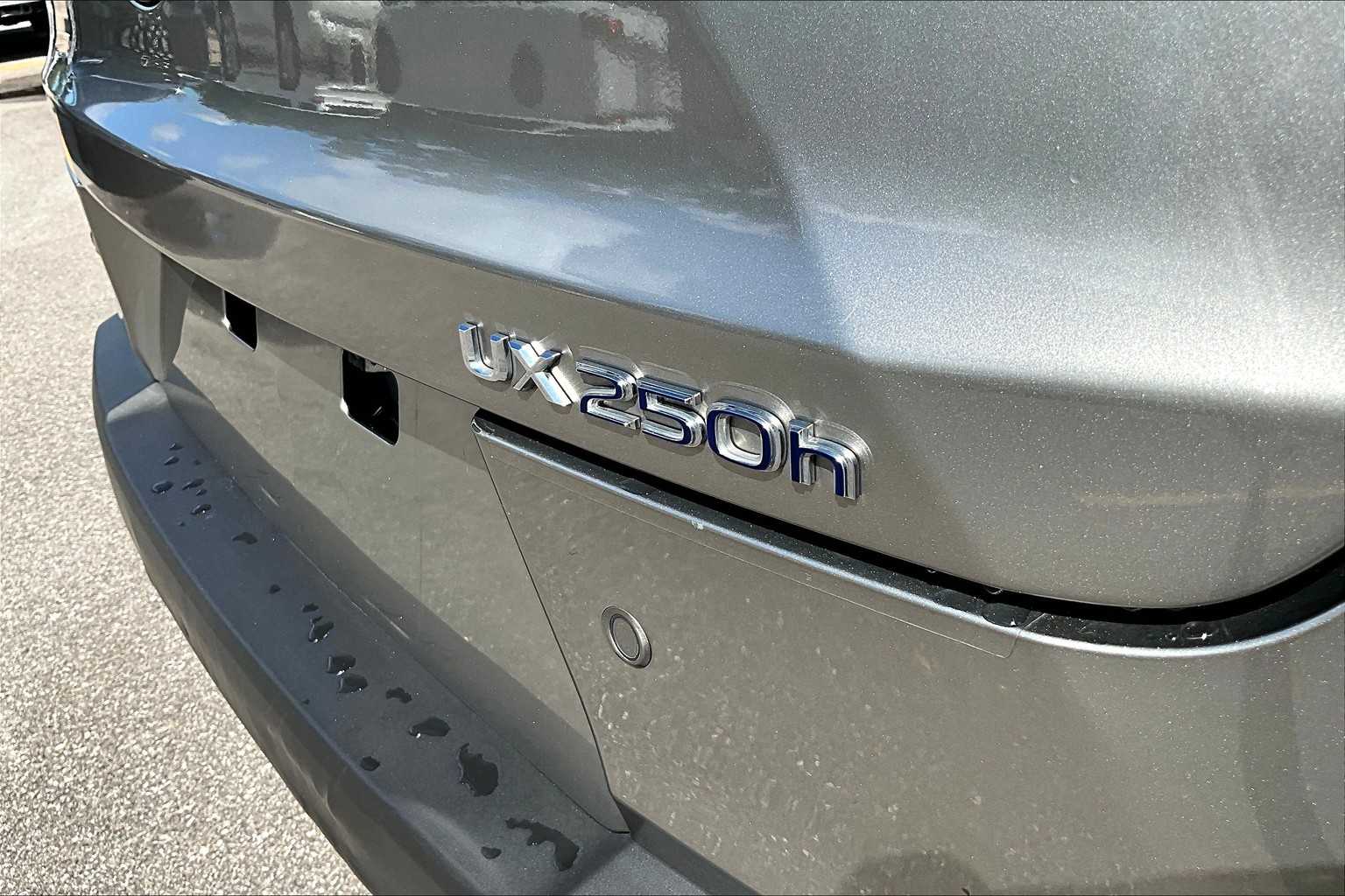 2021 Lexus UX 250h photo 9