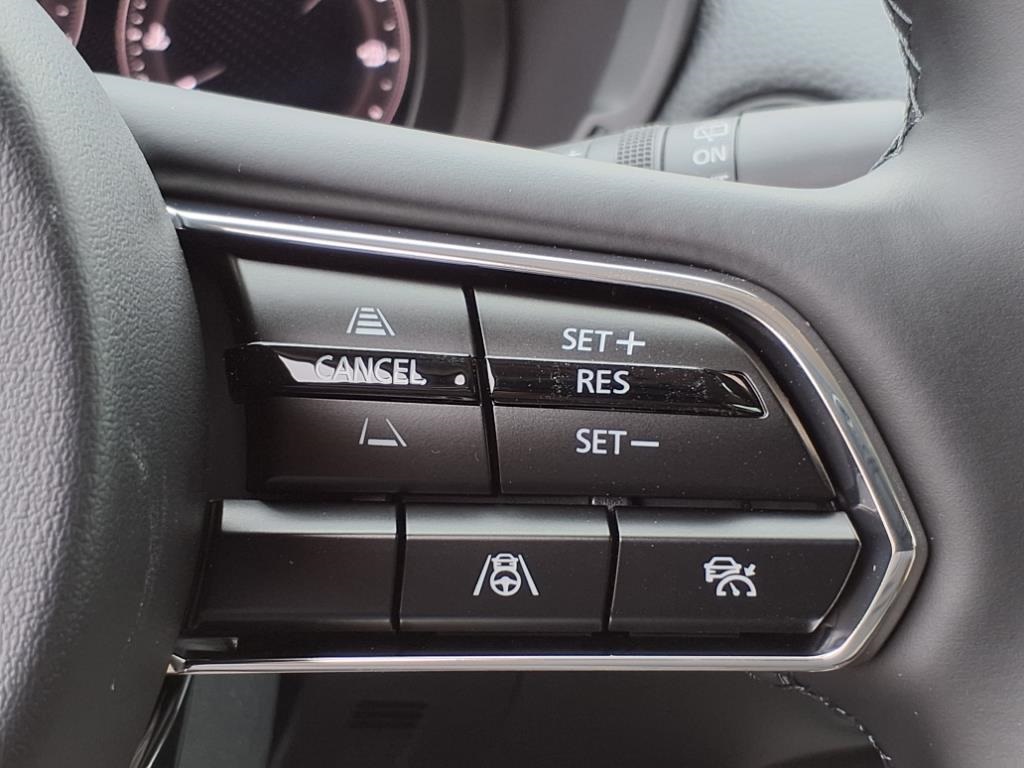 2025 Mazda CX-90 3.3 Turbo Premium S photo 14