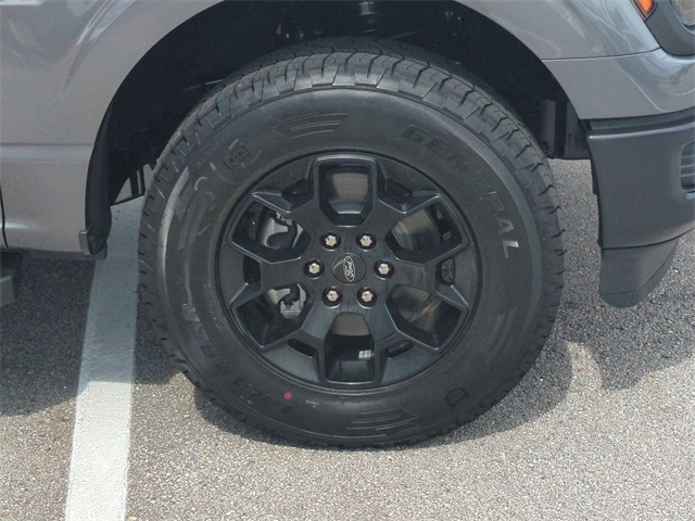 2025 Ford F-150 STX photo 11