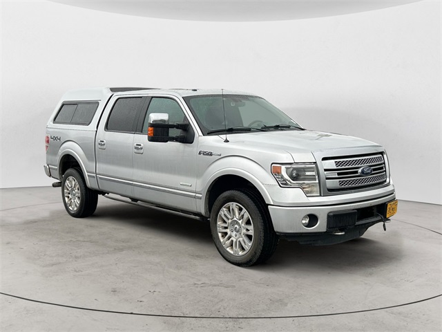2013 Ford F-150 Platinum photo 7