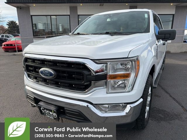 2021 Ford F-150 XLT's photo