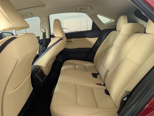 2015 Lexus NX 300h Luxury photo 14