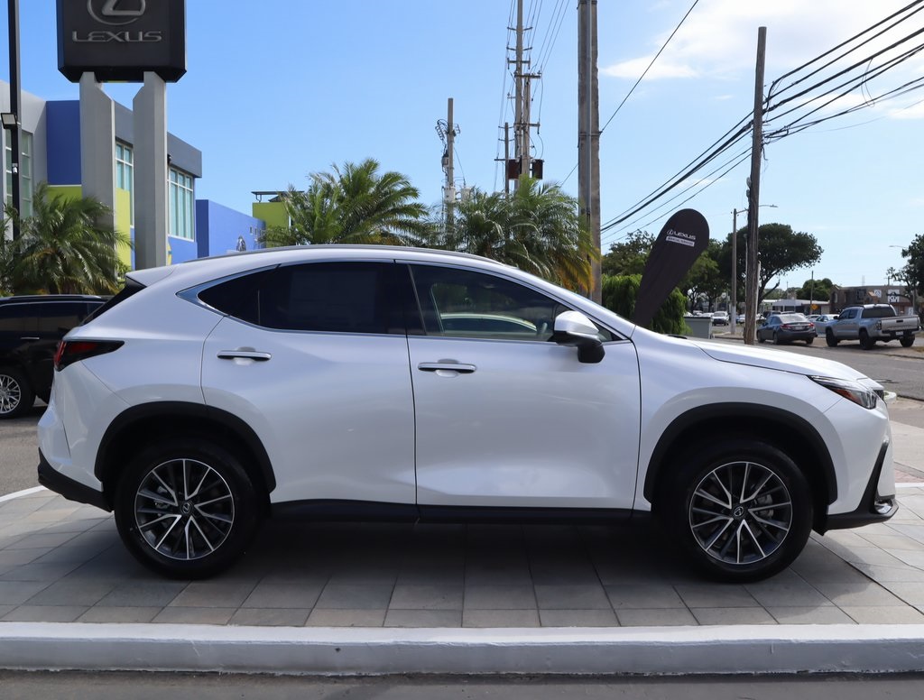 2025 Lexus NX 250 photo 3