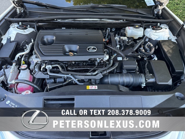 2022 Lexus ES 300h photo 10