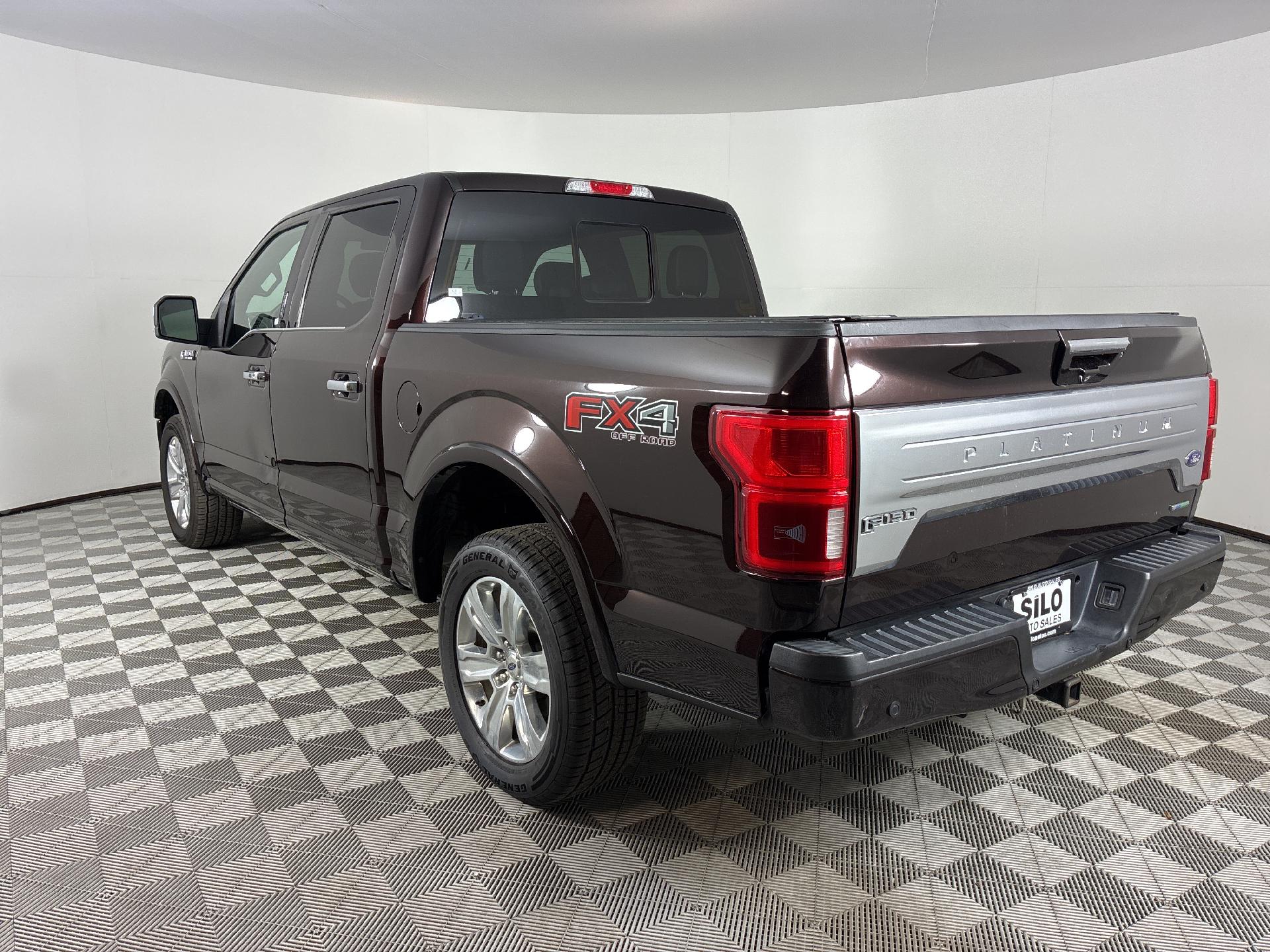 2018 Ford F-150 Platinum photo 3