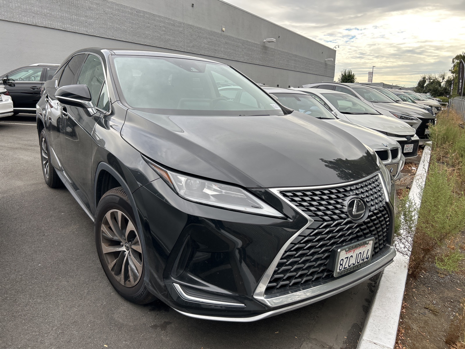 2022 Lexus RX 350 photo 2