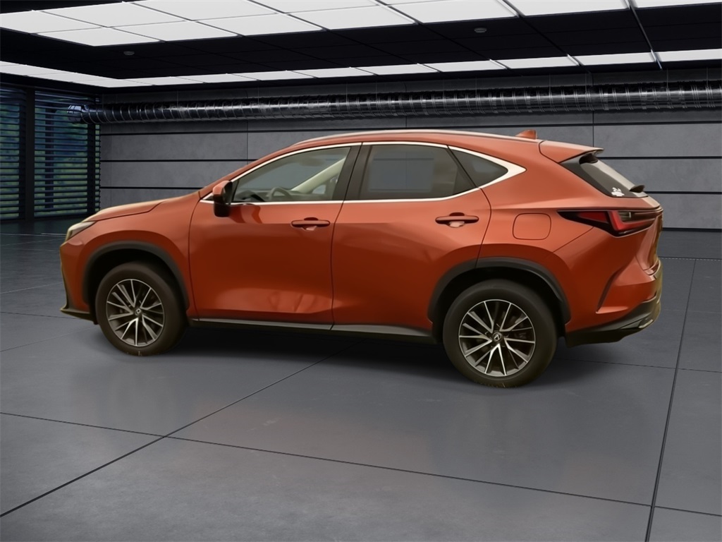 2024 Lexus NX 350h photo 2