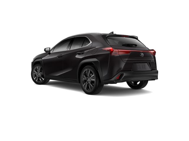 2025 Lexus UX photo 3