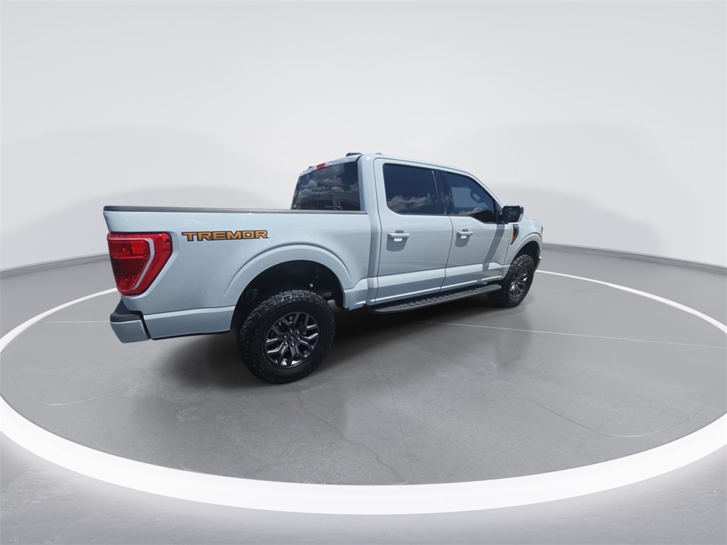 2023 Ford F-150 Tremor photo 8