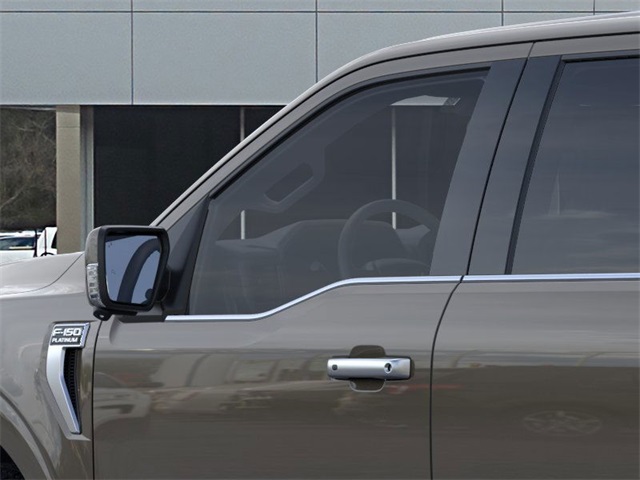 2025 Ford F-150 Platinum photo 19