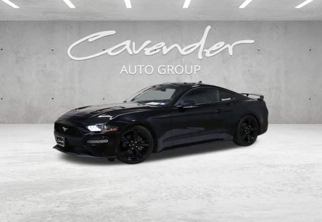 2023 Ford Mustang EcoBoost's photo