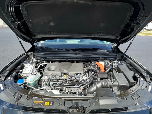 2025 Mazda CX-50 Premium Plus photo 14