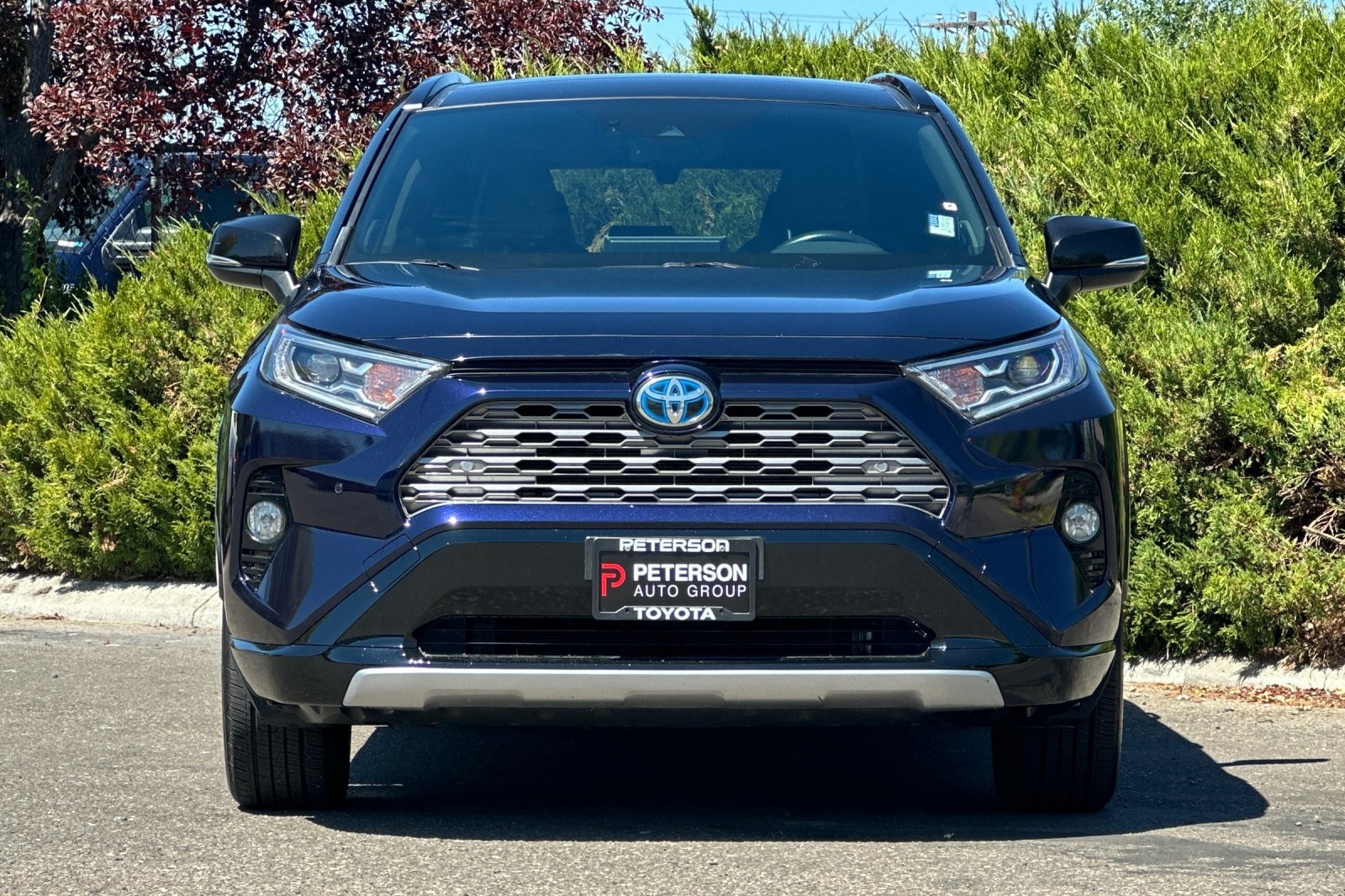 2019 Toyota RAV4 Hybrid XSE photo 9