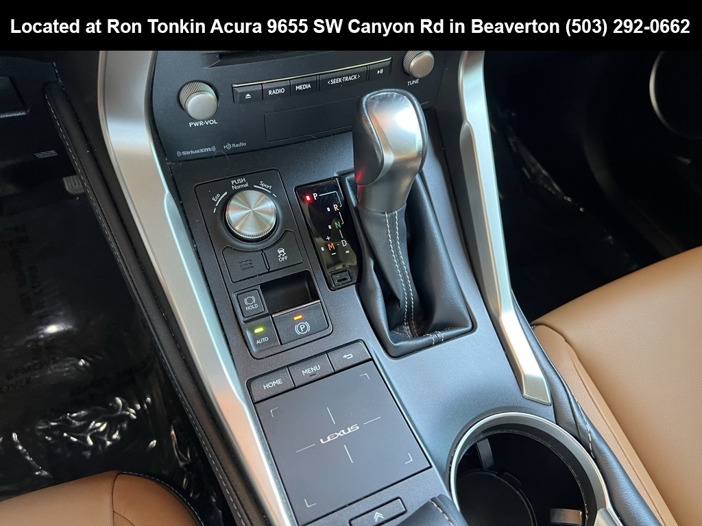 2018 Lexus NX 300 Luxury photo 20