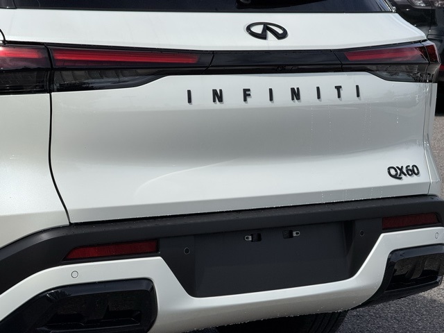 2025 Infiniti QX60 Luxe photo 4