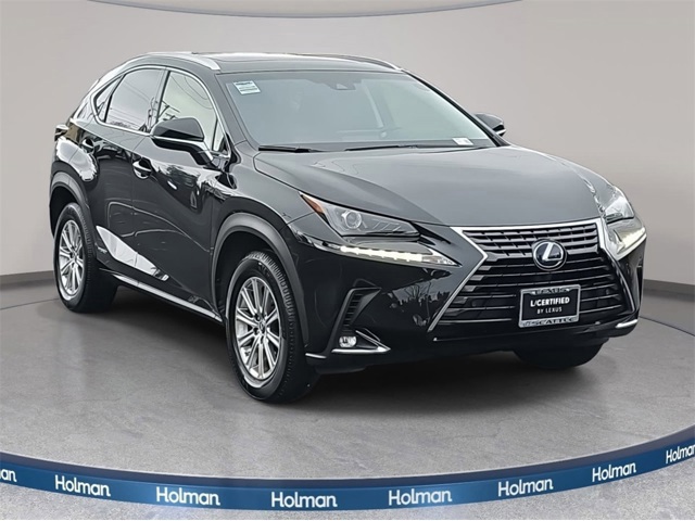 2019 Lexus NX 300h Luxury photo 3