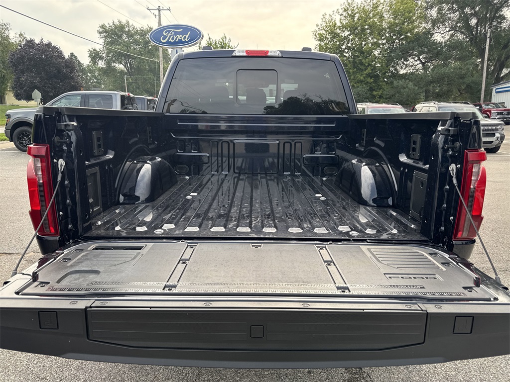 2025 Ford F-150 XLT photo 9