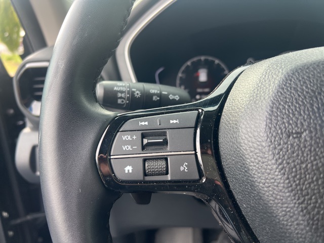 2024 Honda Pilot EX-L photo 19