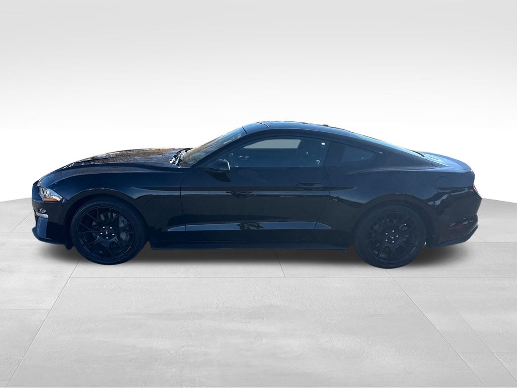 2019 Ford Mustang EcoBoost photo 2