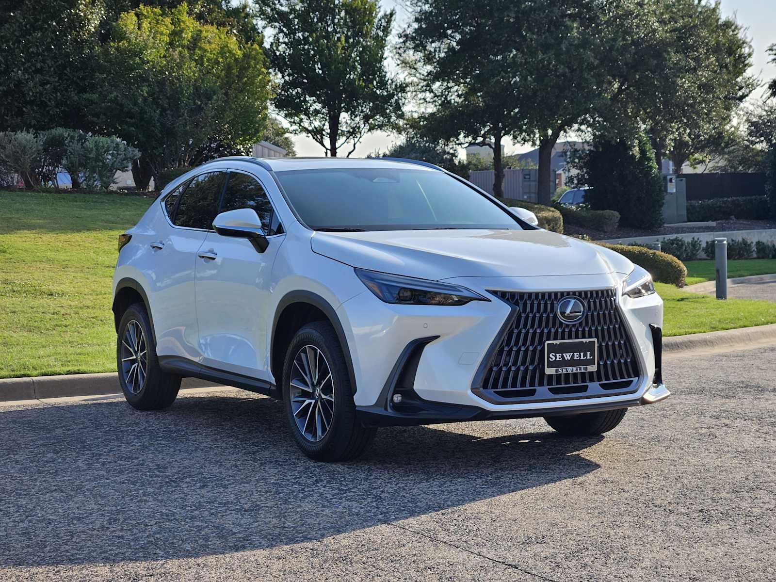 2025 Lexus NX 250 Premium photo 2