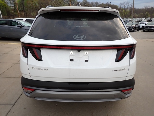 2025 Hyundai Tucson Hybrid Limited photo 3