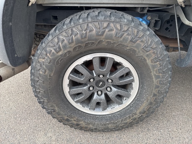 2010 Ford F-150 SVT Raptor photo 55