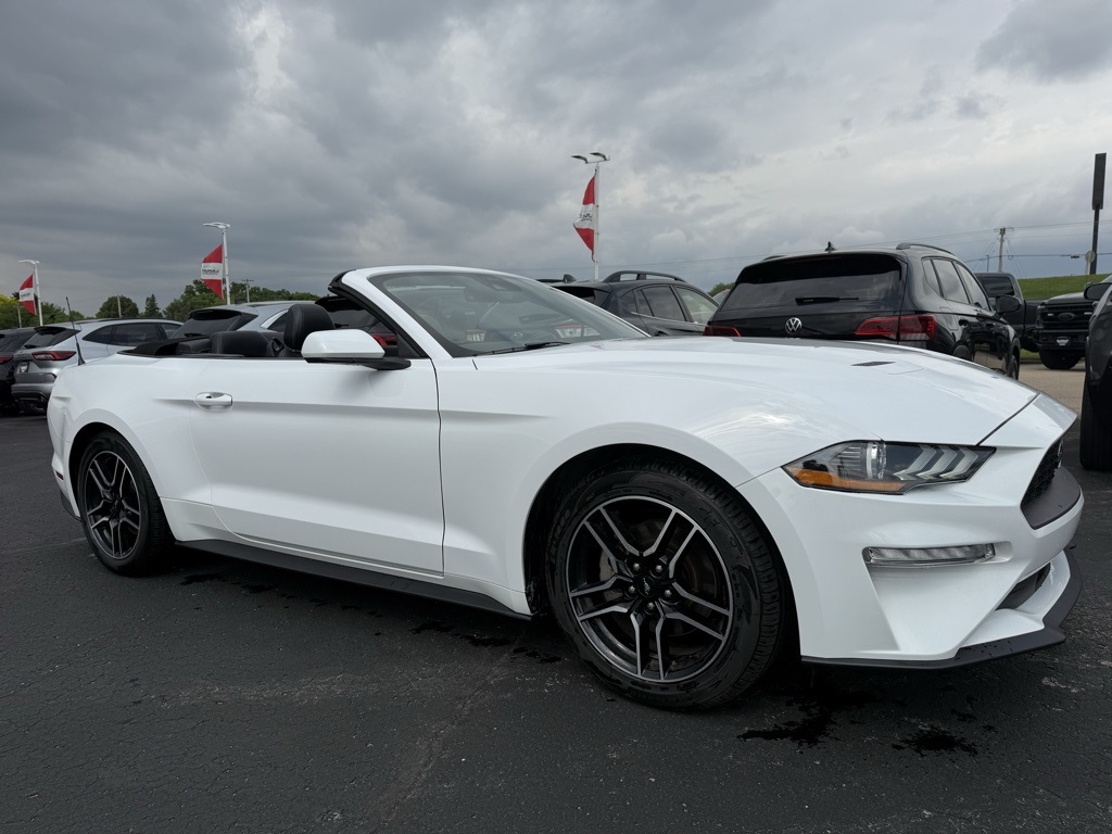 2023 Ford Mustang EcoBoost Premium photo 4