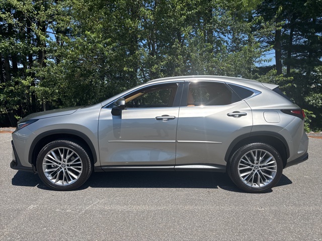 2025 Lexus NX 350 Premium photo 3