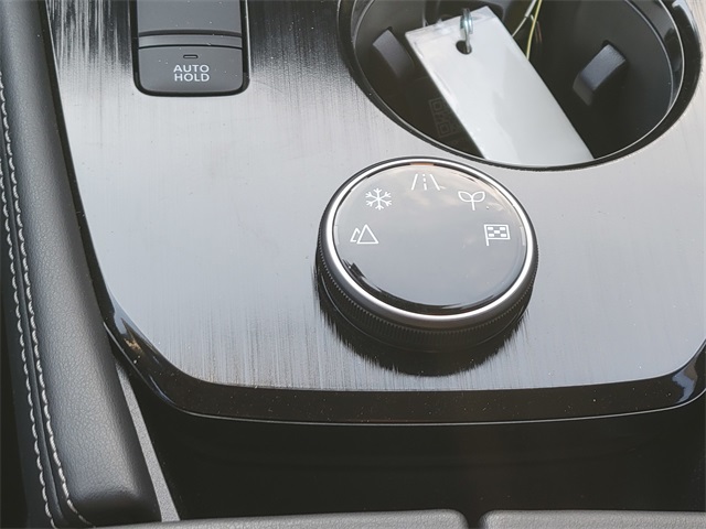 2025 Nissan Rogue Platinum photo 25