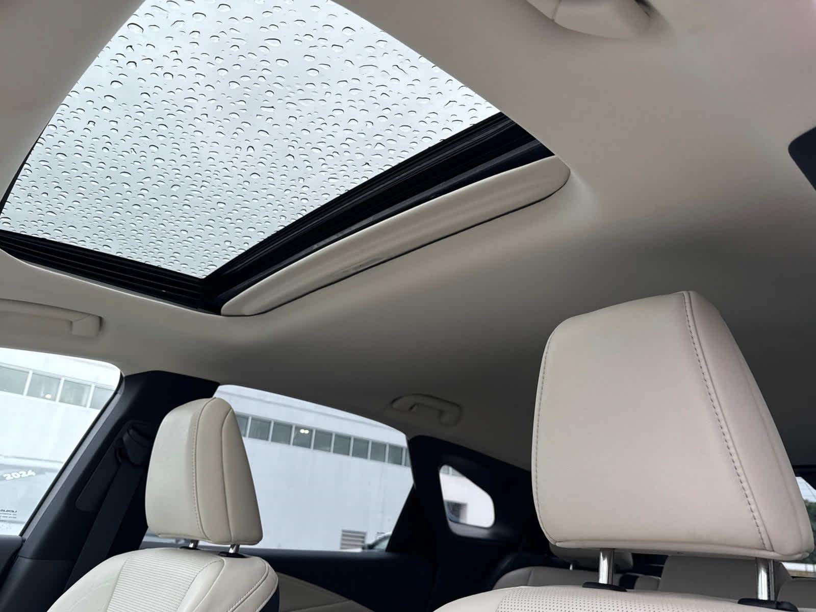 2023 Lexus RX Premium AWD photo 4