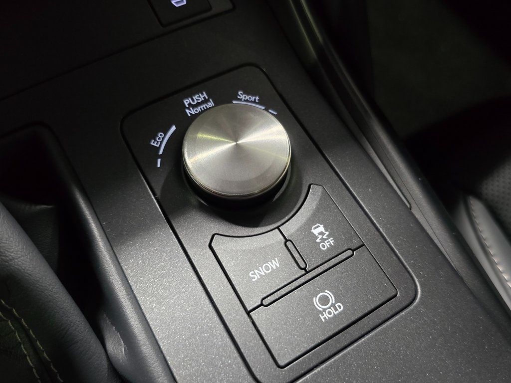 2025 Lexus IS 300 F SPORT photo 24