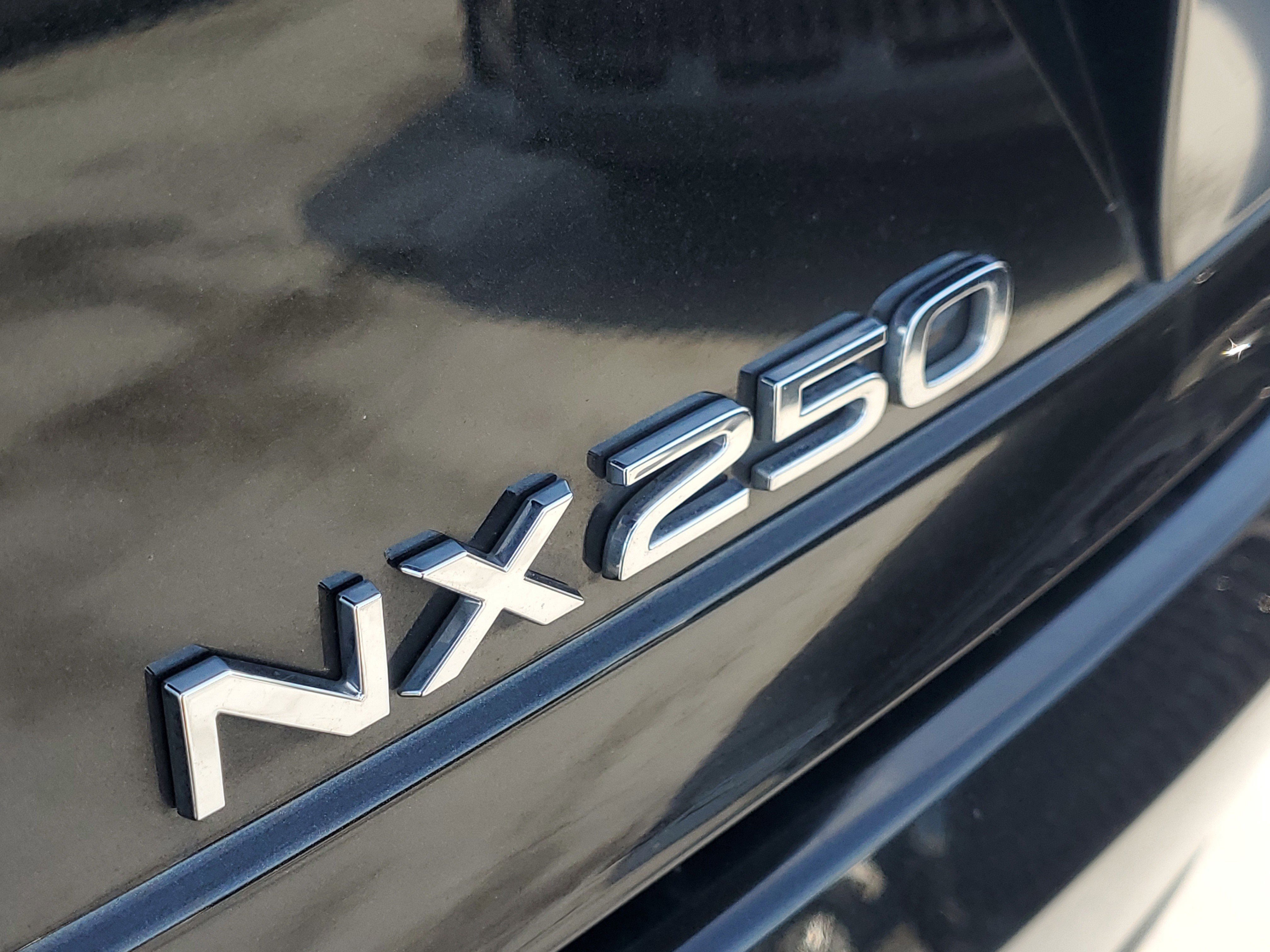 2024 Lexus NX 250 Premium photo 7
