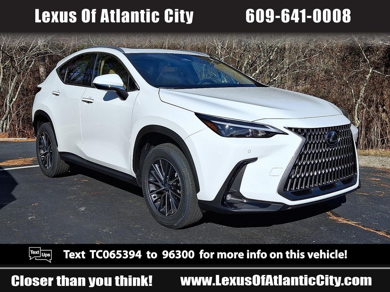 2026 Lexus NX Hybrid 350h