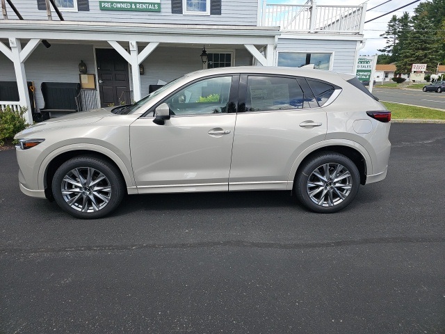 2025 Mazda CX-5 2.5 Premium Plus photo 6