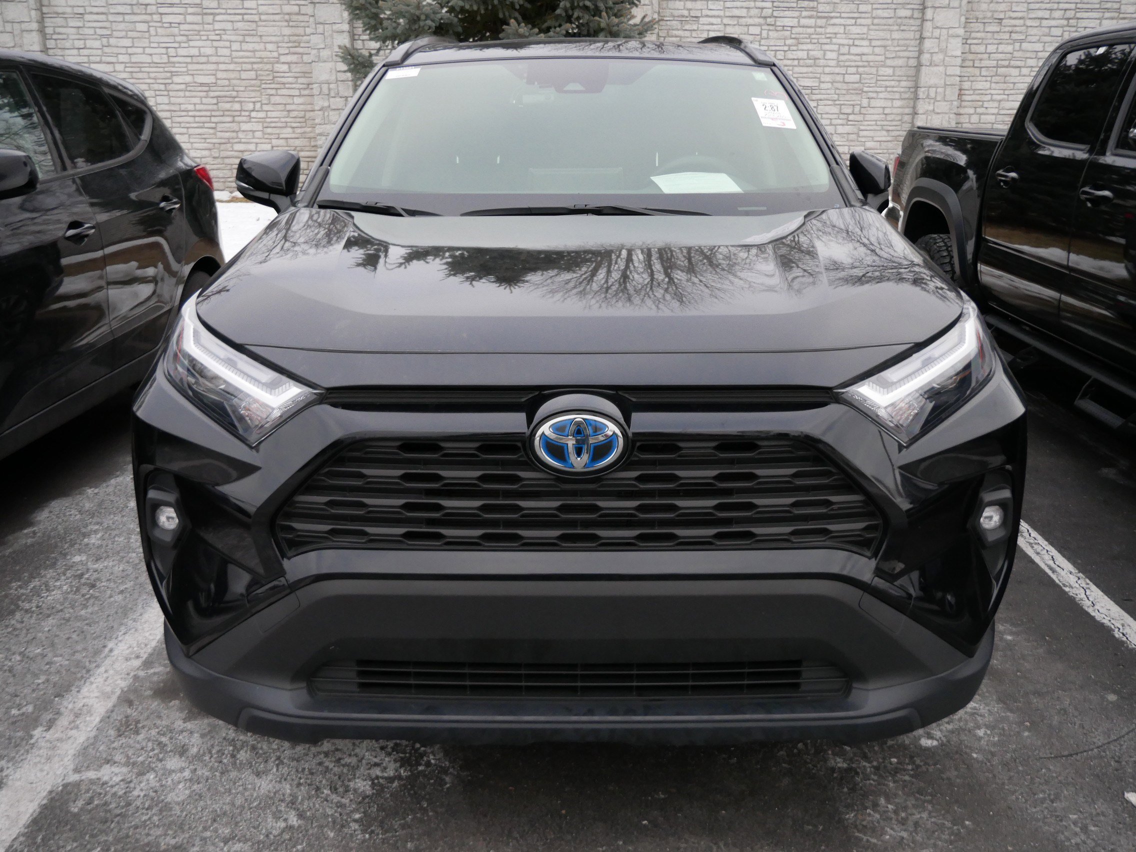 Used 2024 Toyota RAV4 XLE Premium with VIN JTMB6RFV4RD125829 for sale in Brooklyn Center, Minnesota