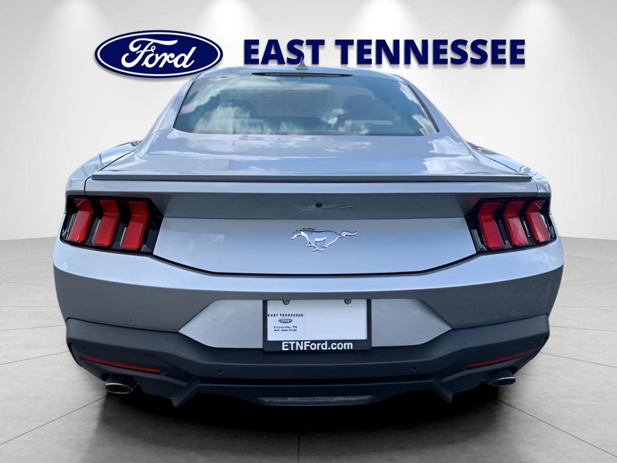 2025 Ford Mustang EcoBoost Premium photo 4