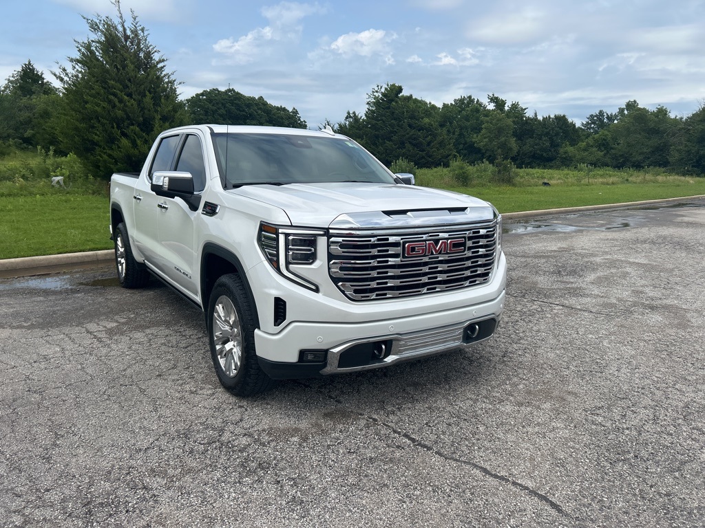 2023 Gmc Sierra 1500 Denali photo 4