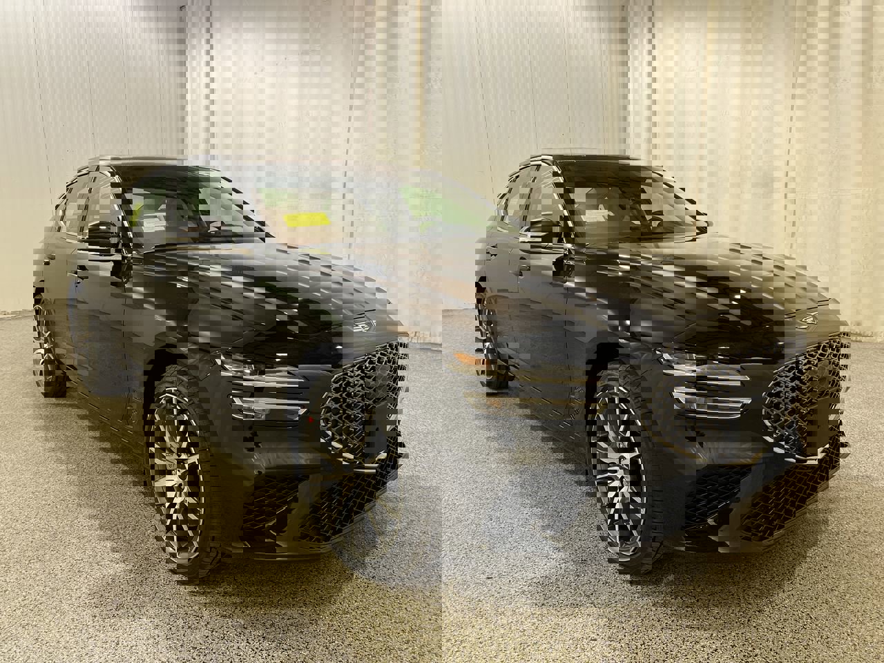 New 2026 Vik Black Genesis 2.5T Standard image 1