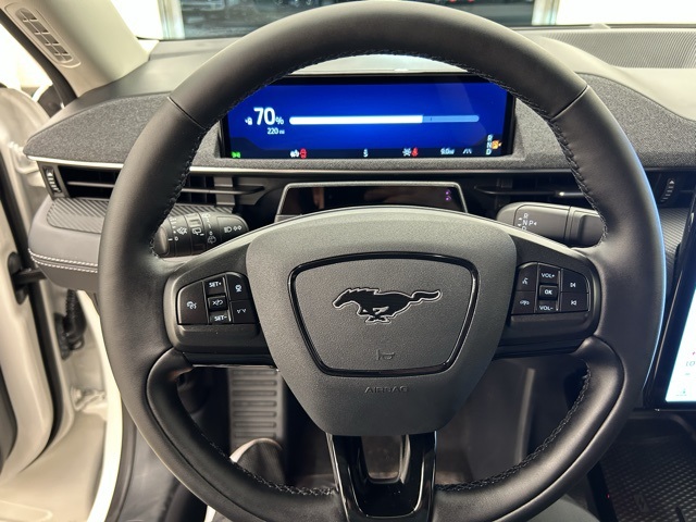 2025 Ford Mustang Mach-E Premium photo 19