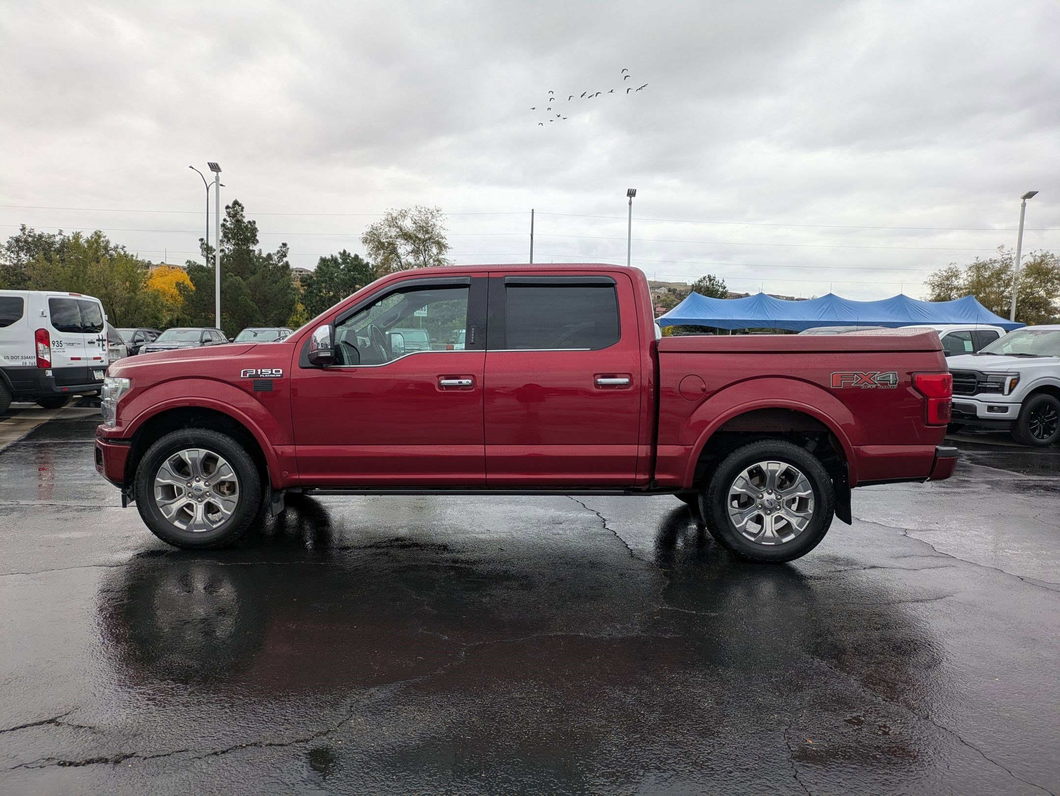 2019 Ford F-150 Platinum photo 3