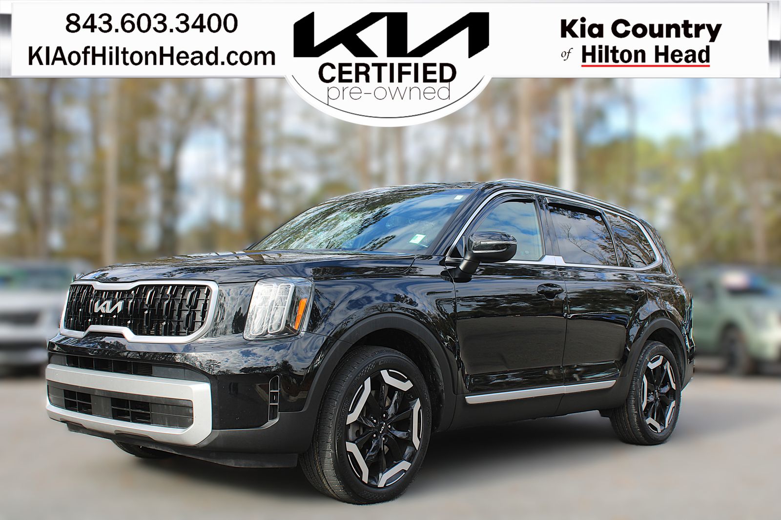 2024 Kia Telluride EX's photo