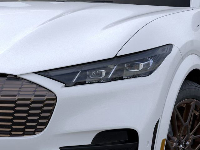 2025 Ford Mustang Mach-E GT photo 14