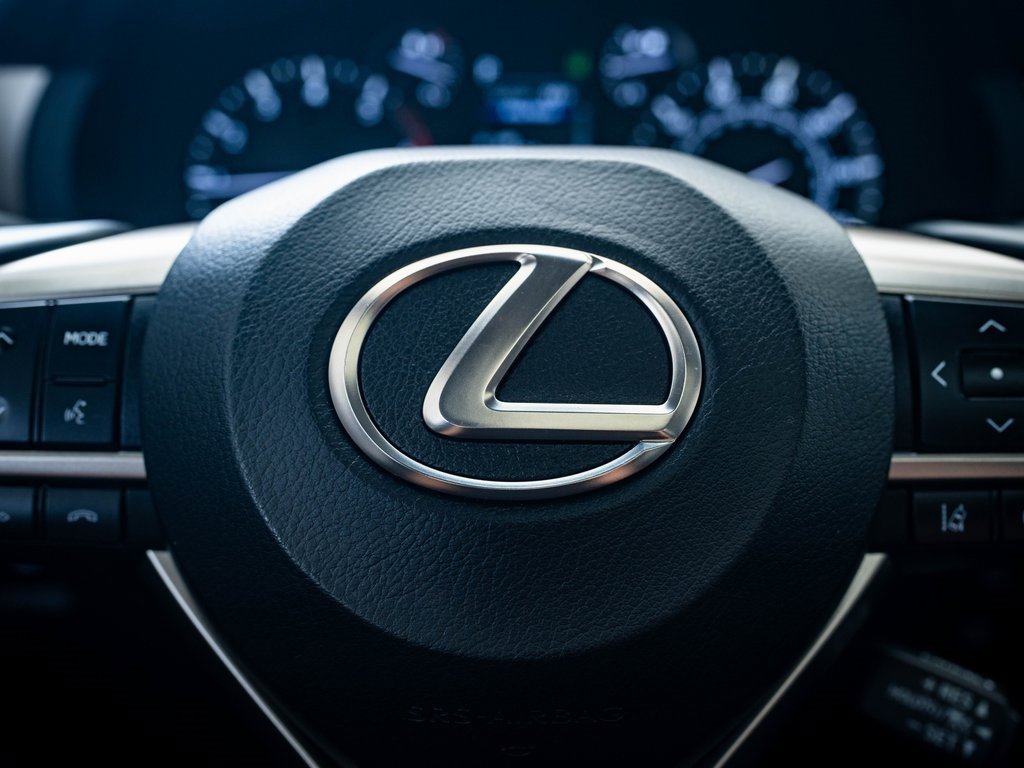 2021 Lexus GX 460 Luxury photo 22